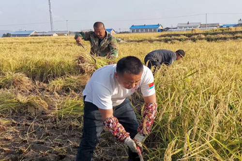 豐收的季節(jié)，到處洋溢著收獲的喜悅